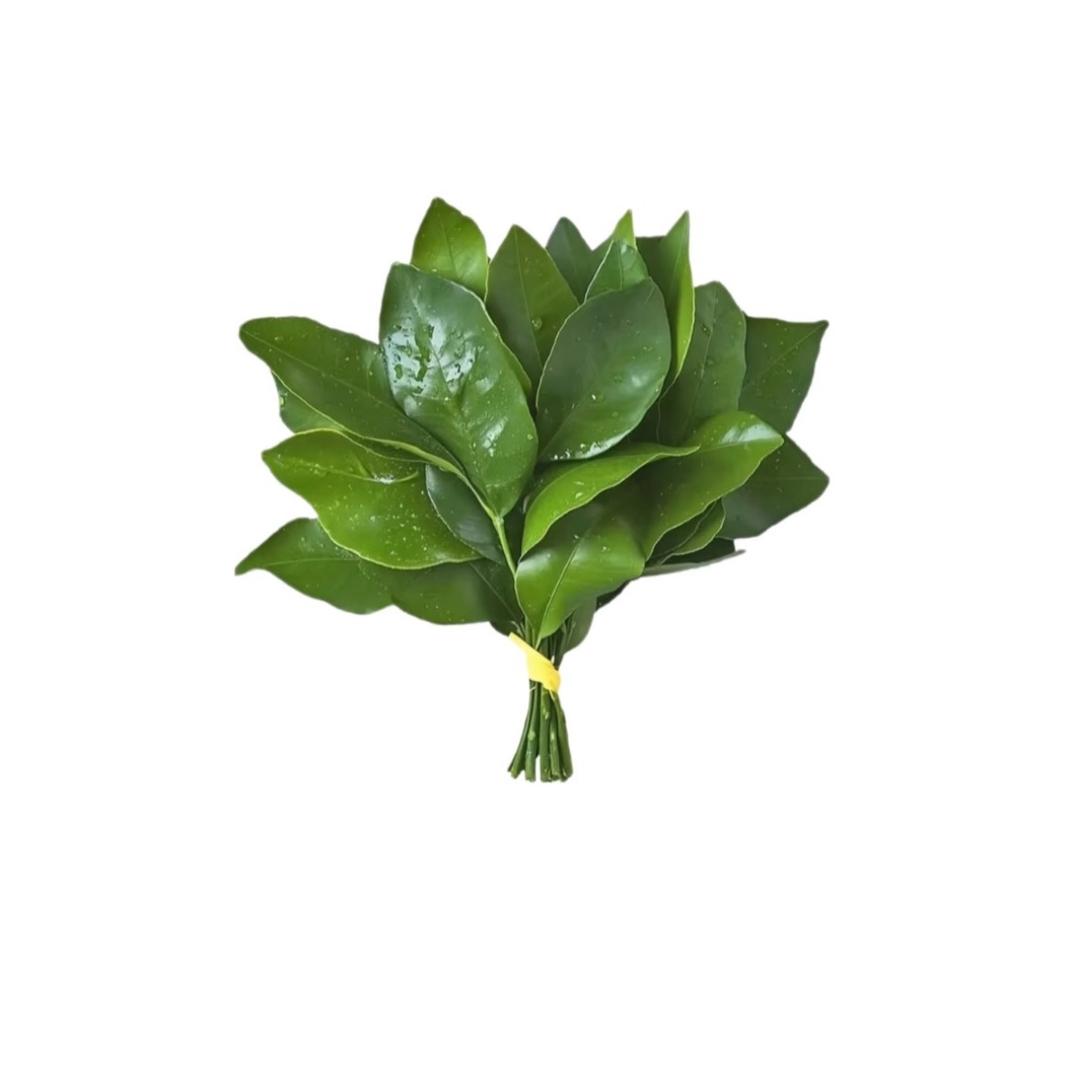别吵我睡觉