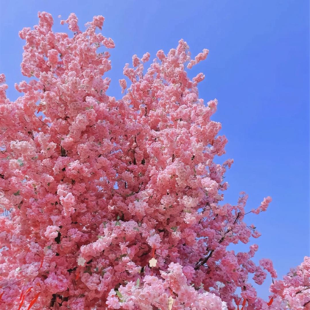 এ້໌ᮩ王້໌ᮨ𝕎𝕒ཽng