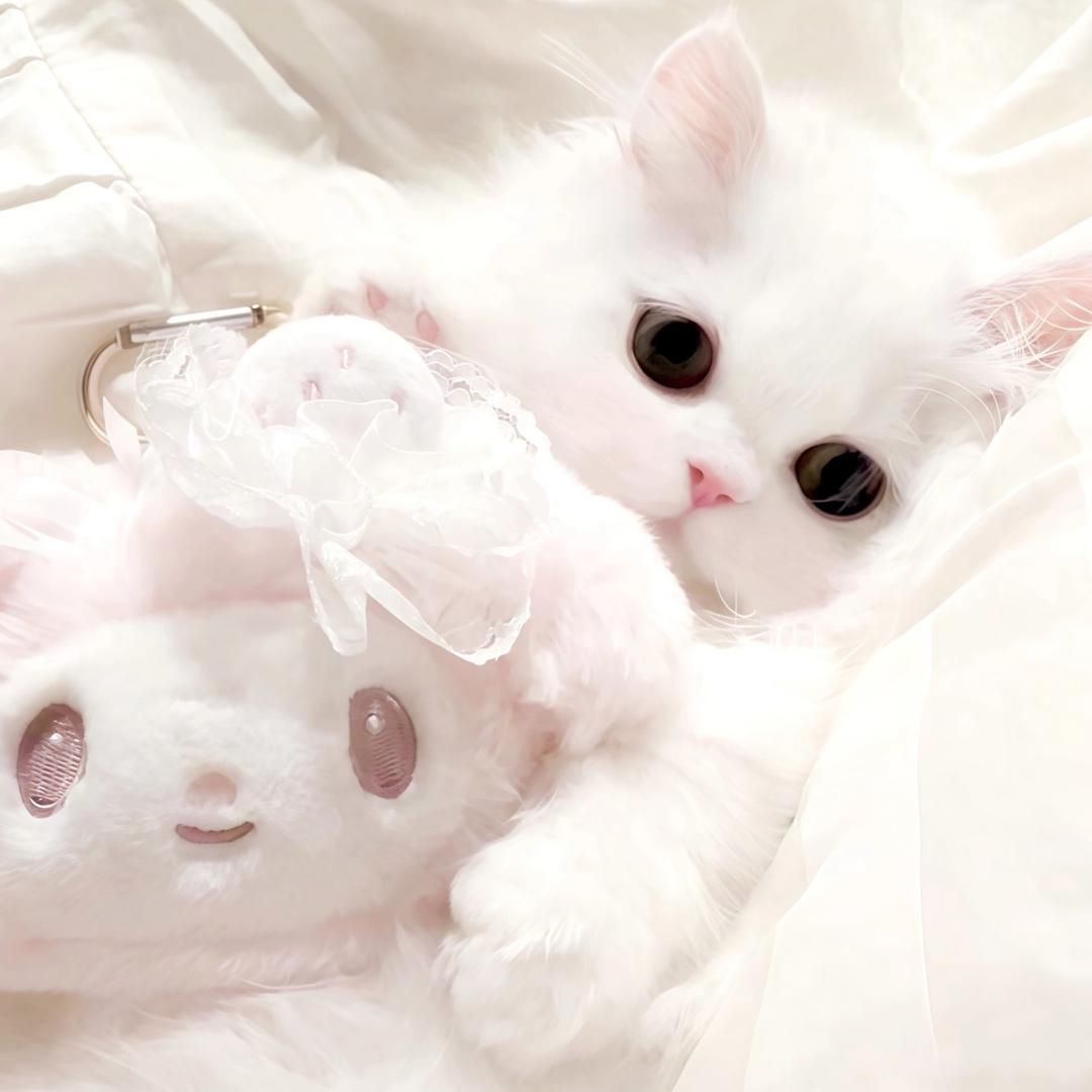 宅