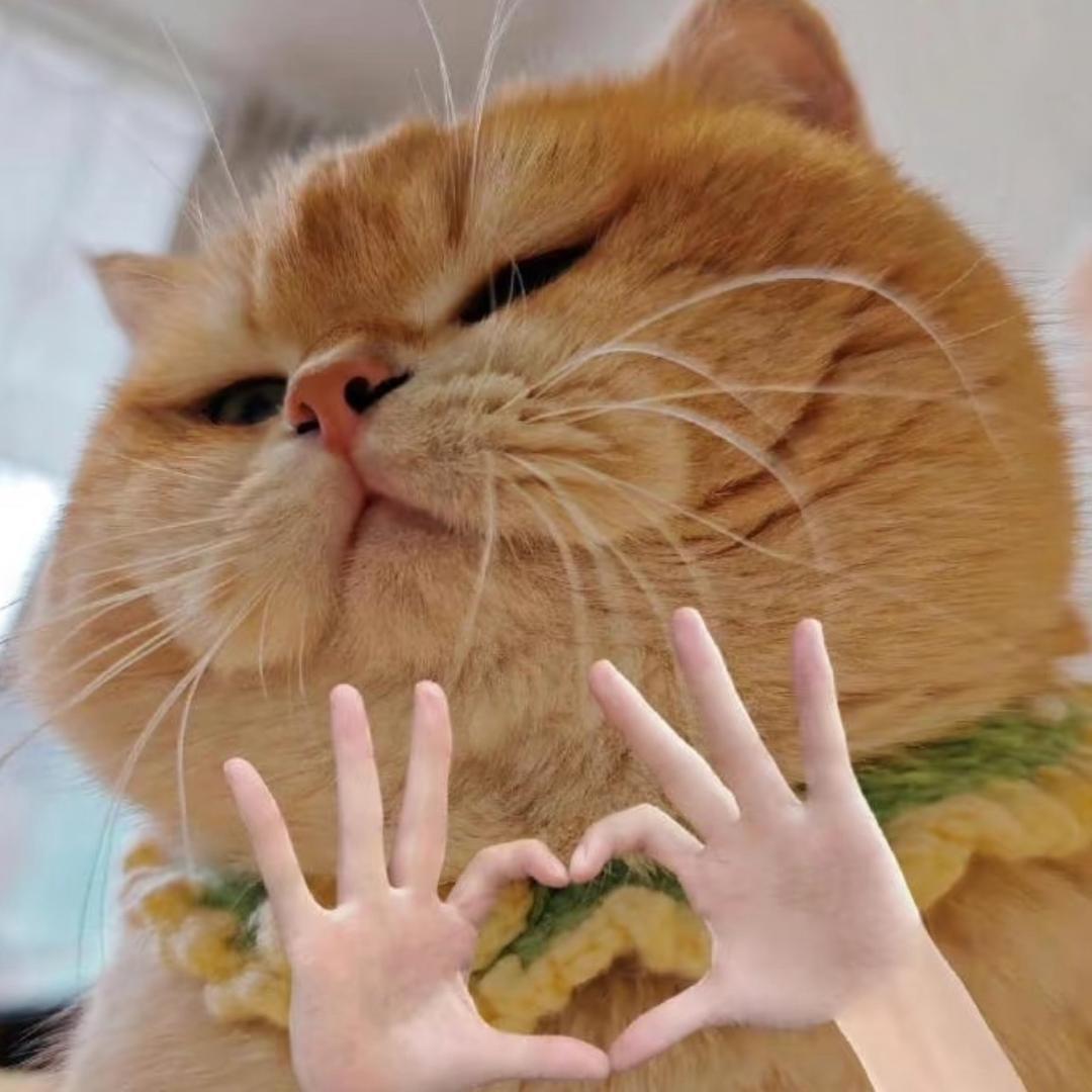 偷懒豆豉中古铺