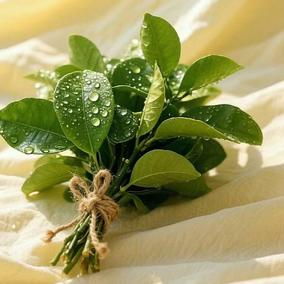 小燕子益智玩具