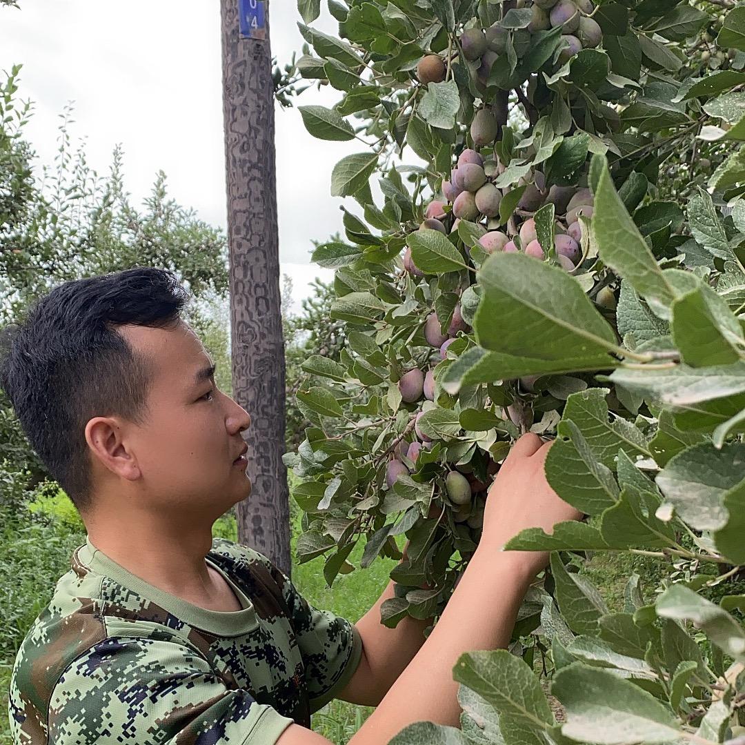 兰艺潮坚果甄选