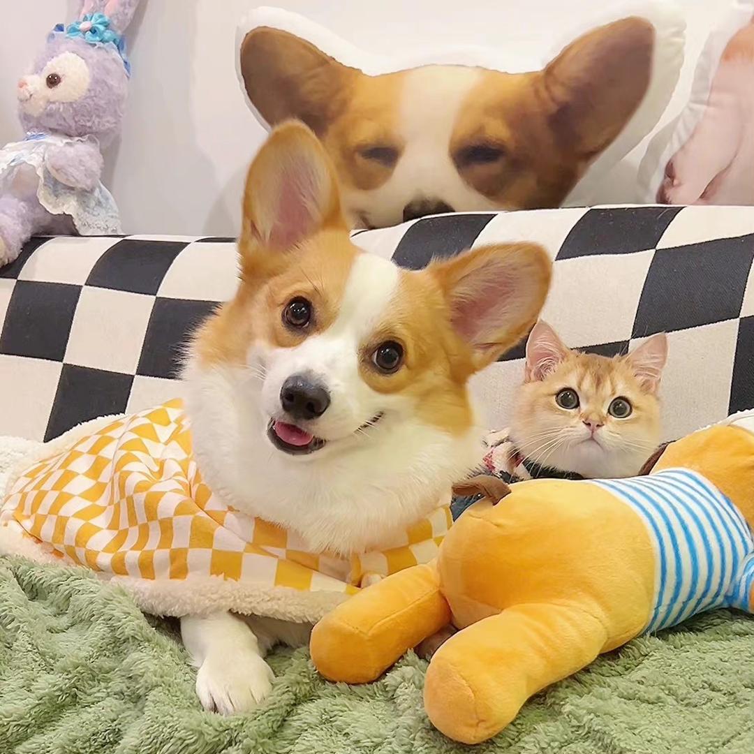 YYIN（见过GD、大声、太阳、张杰版）