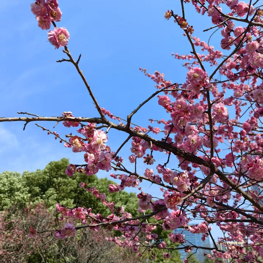 ꧔ꦿ᭄ 自ঞᩚ渡꧔ꦿ᭄