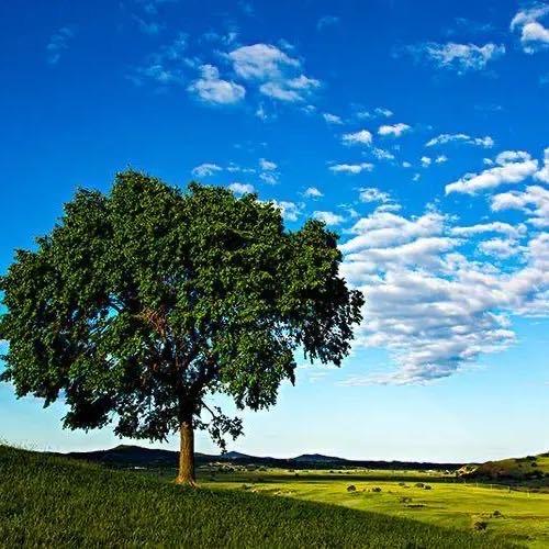 文君老师教站桩（12月30号杭州线下课）