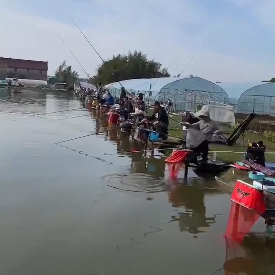 上海浦东渔乐人生休闲钓场