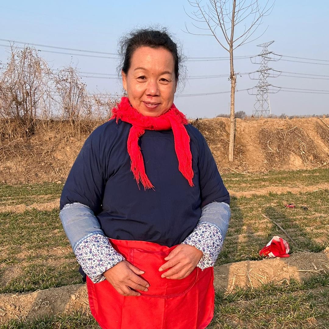 河北婷姐