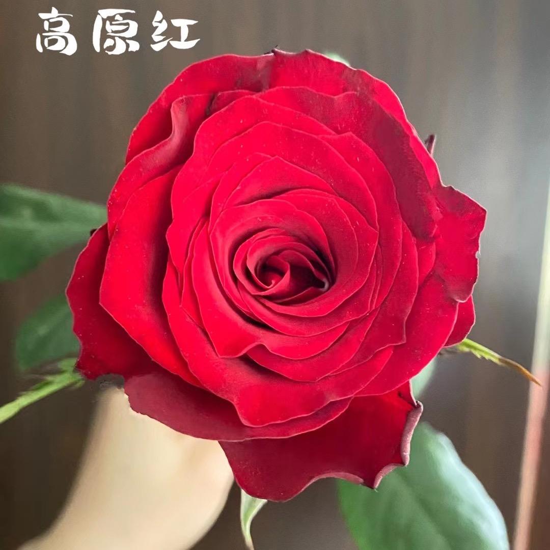 惟一斗南鲜花批发