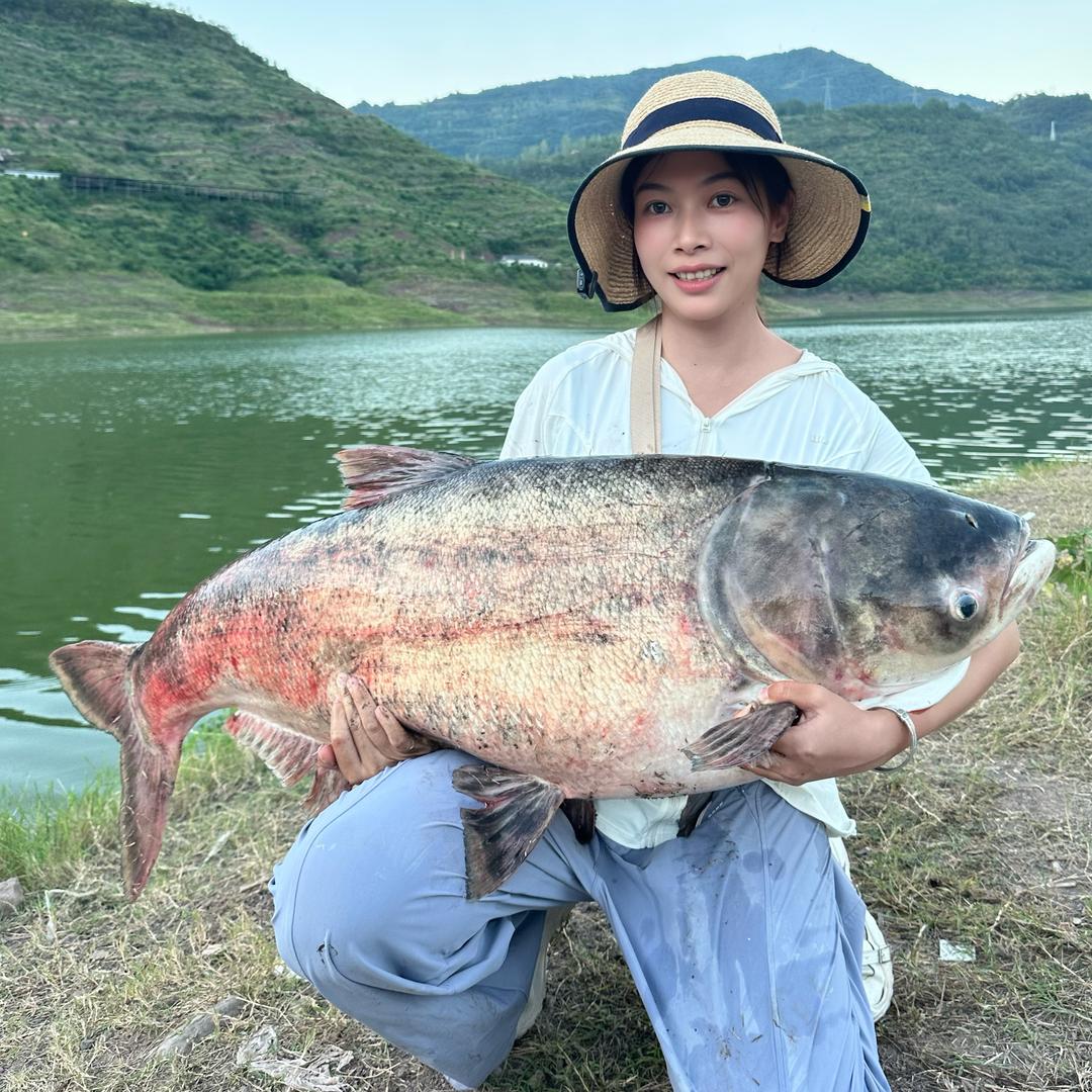 若七钓鱼🎣