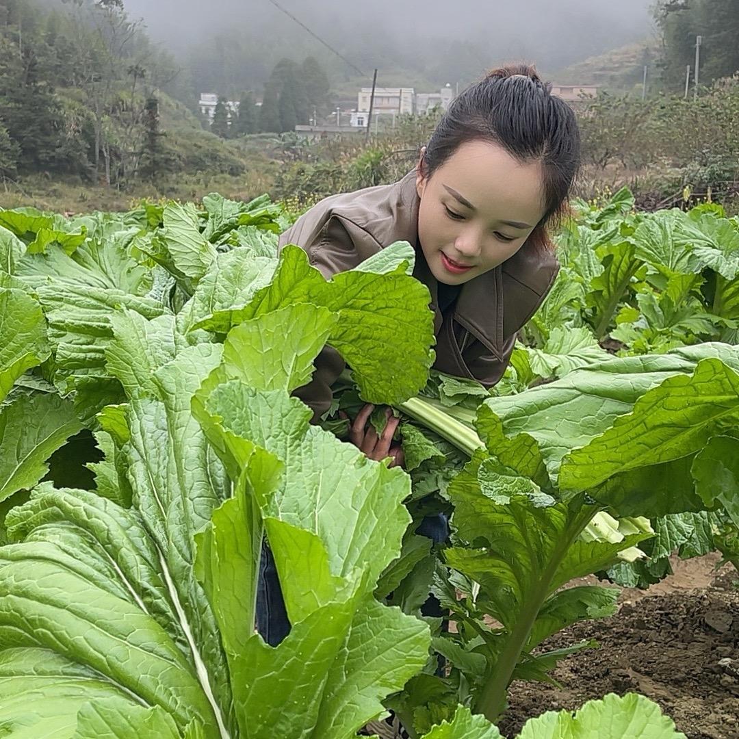 李乡的何妹
