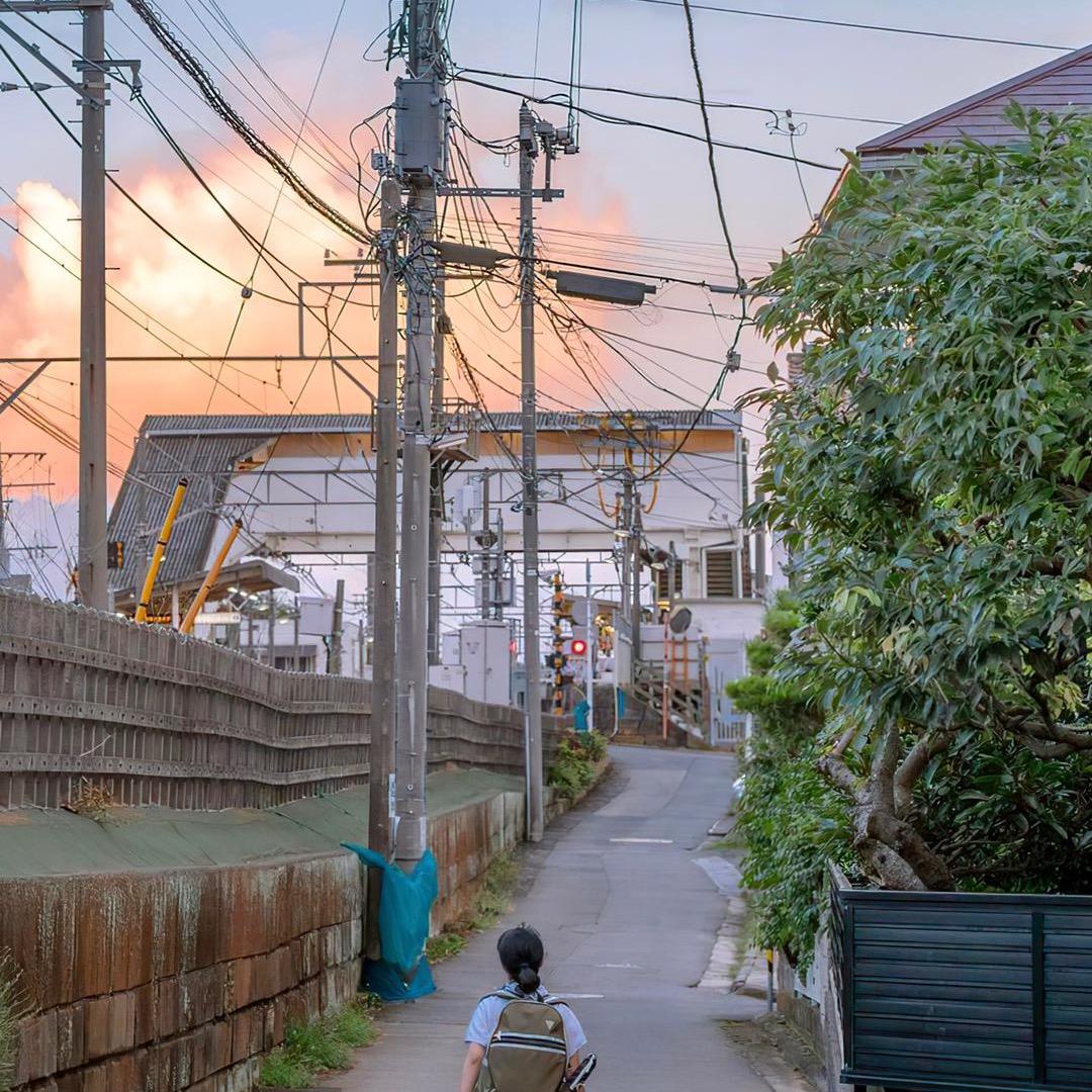 达不溜达不溜达不溜