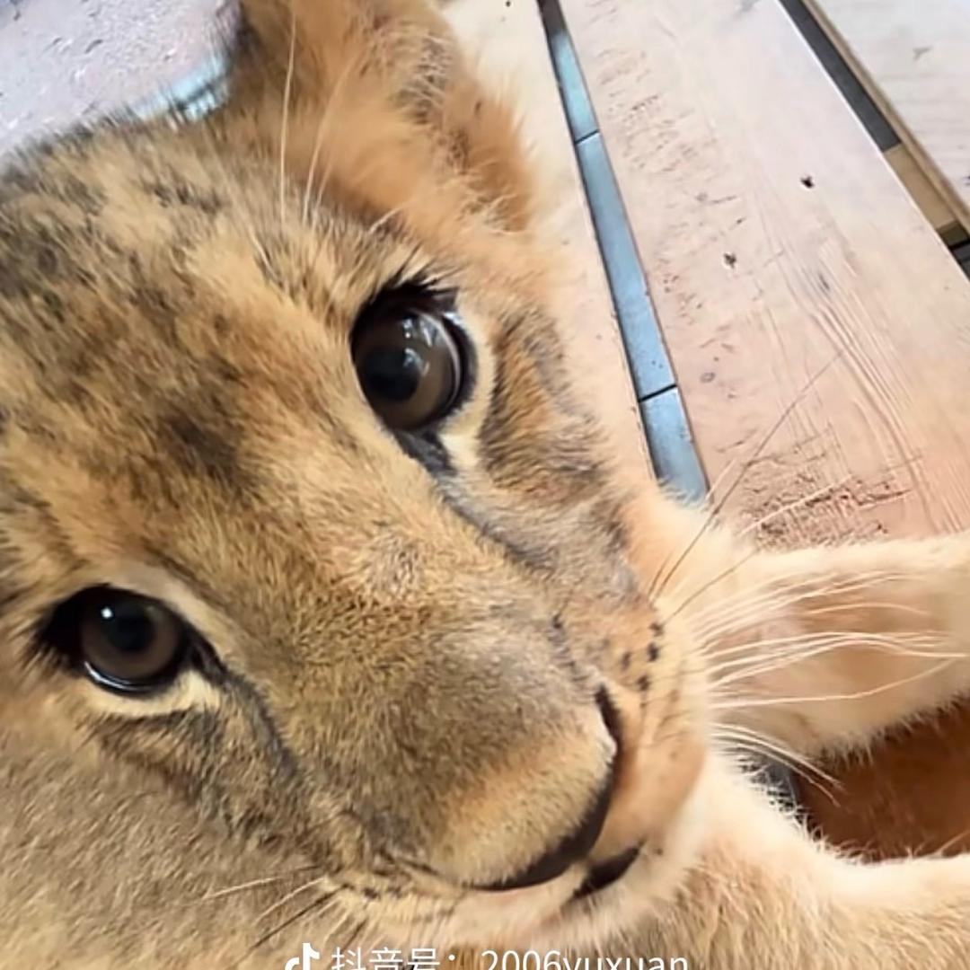 中央戏精学院本硕博连读（减肥➕暴富版）