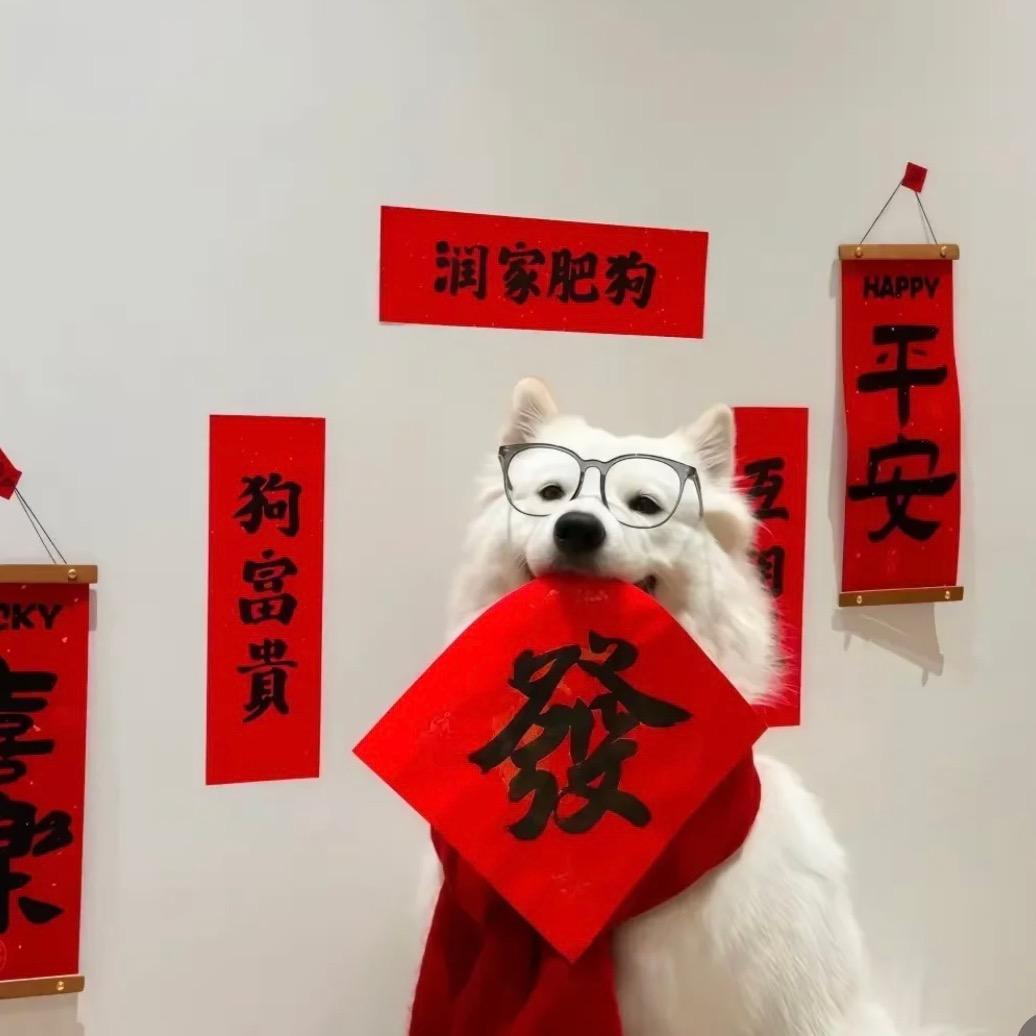 小博