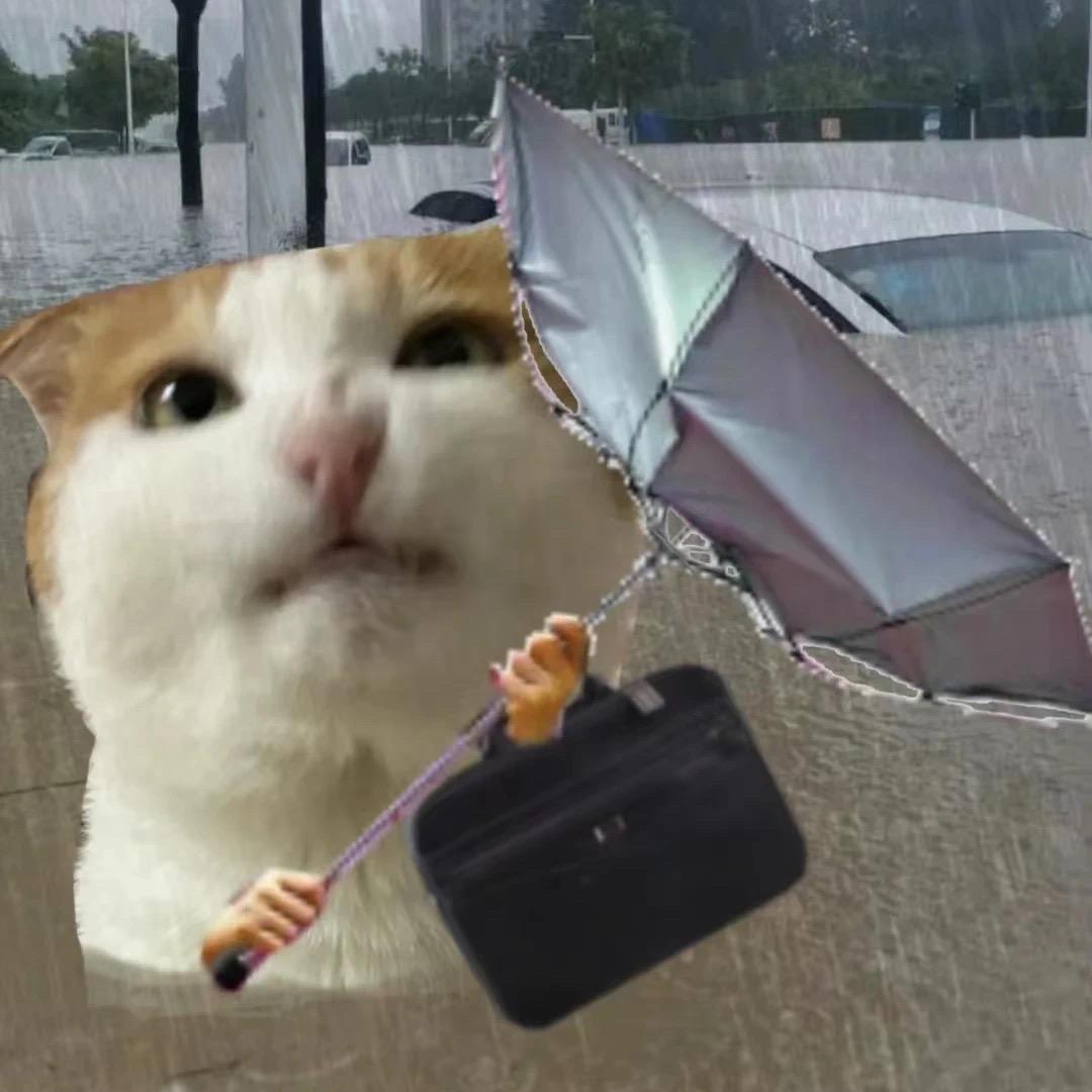 尘世111111