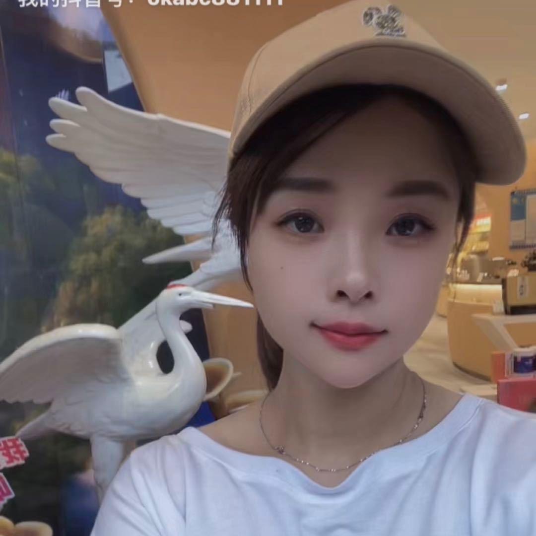 飞燕爱唱歌（改编歌）