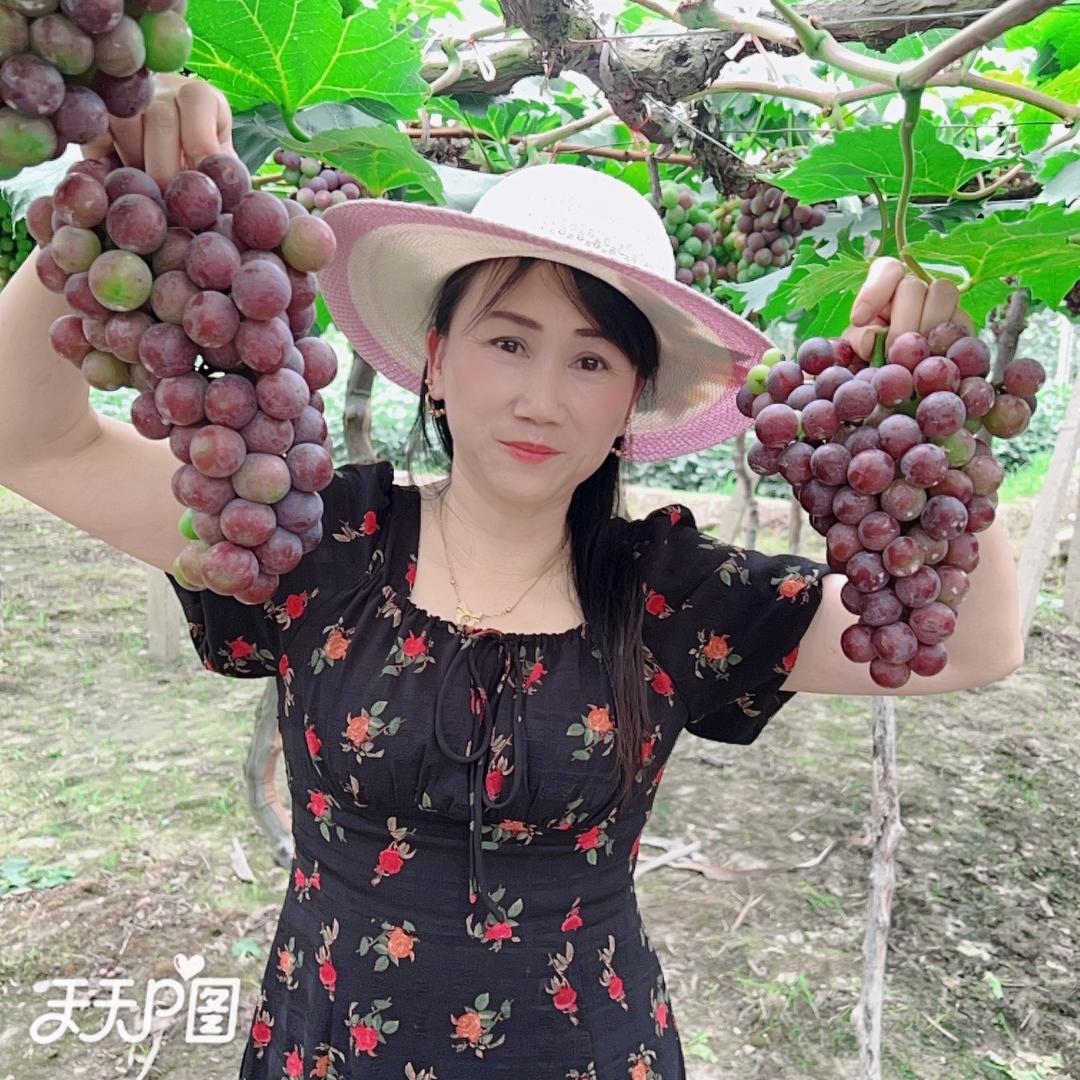 洋葱妈妈爱生活