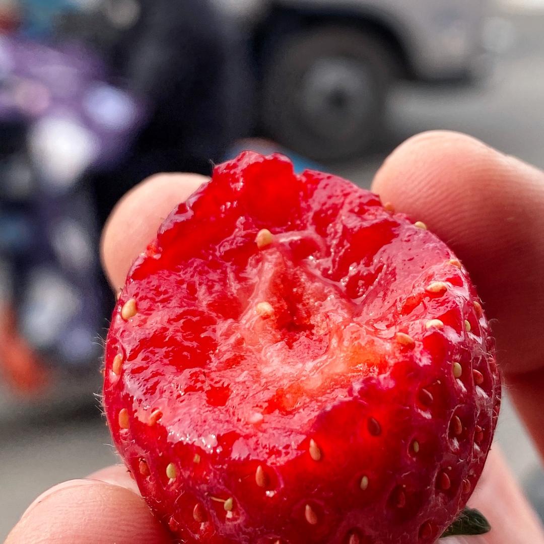 桔子熟了-水果只做应季自然熟