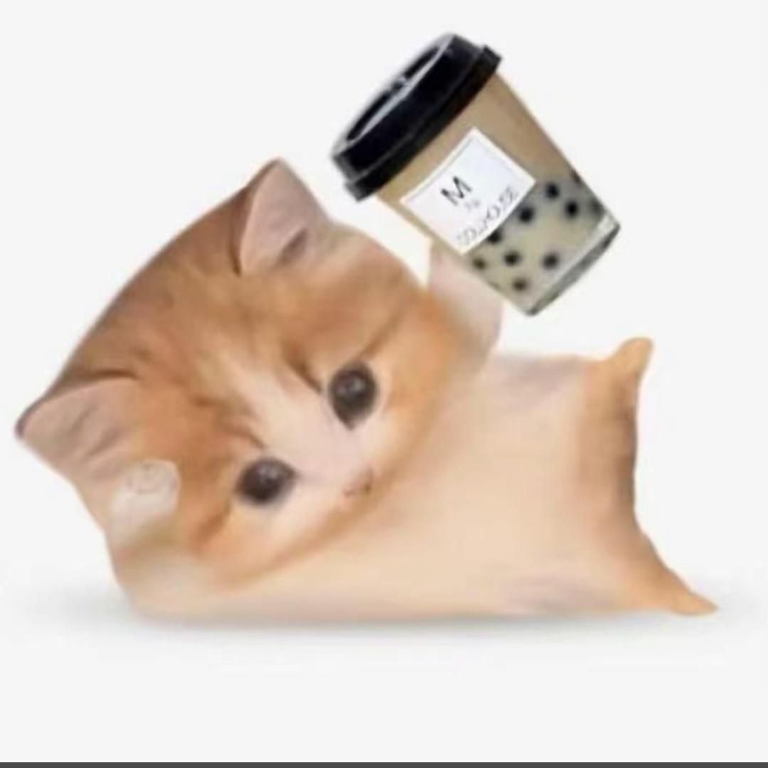 一点都不好笑
