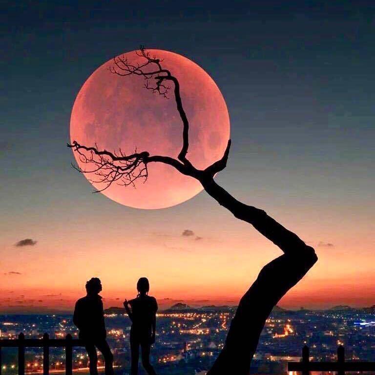 万豪大矿爵士白全球最经济实惠🇨🇳