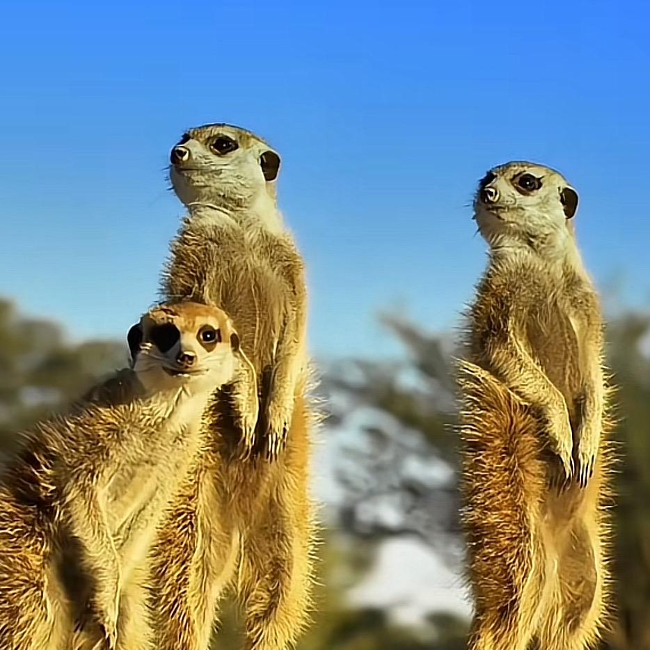 找个地方撒酒风