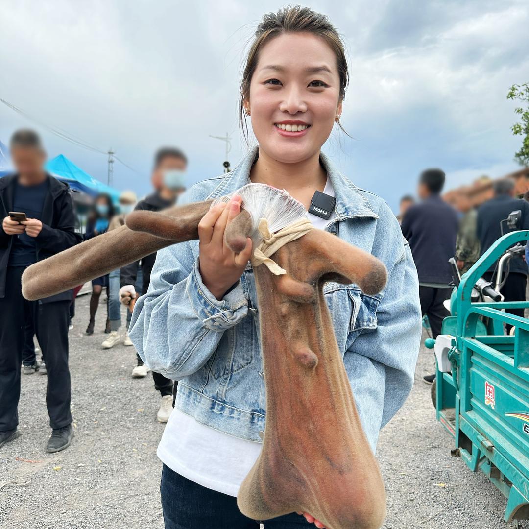 双阳区欢欢鹿业经销处