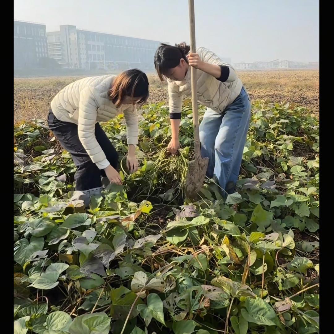 “显眼包”姐妹