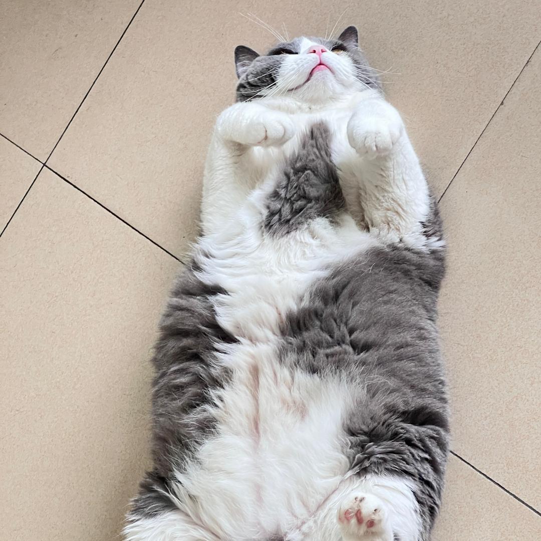 箖失误（有出租房）