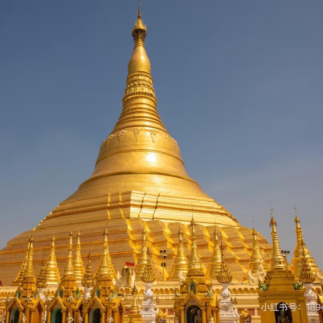 豪哥