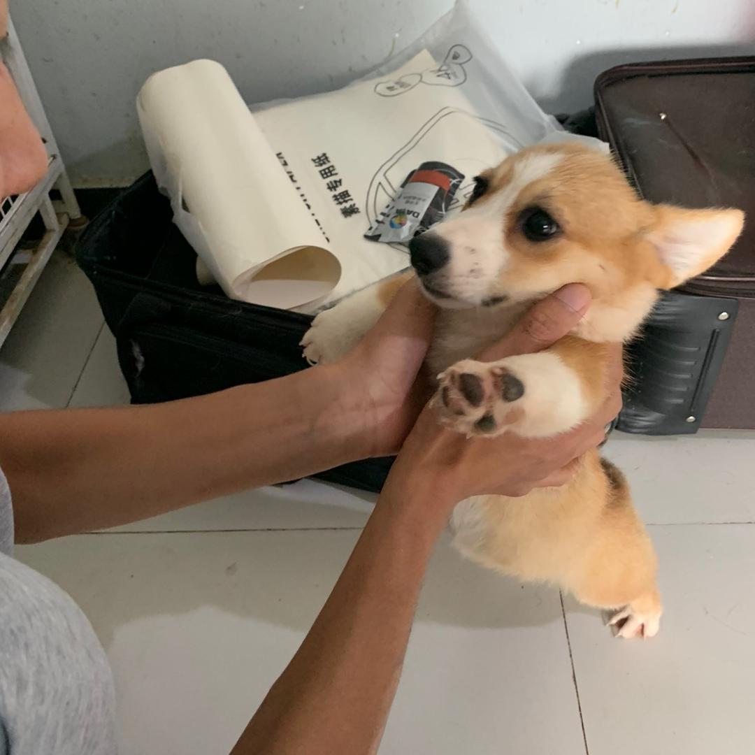 泡面奶思多多多