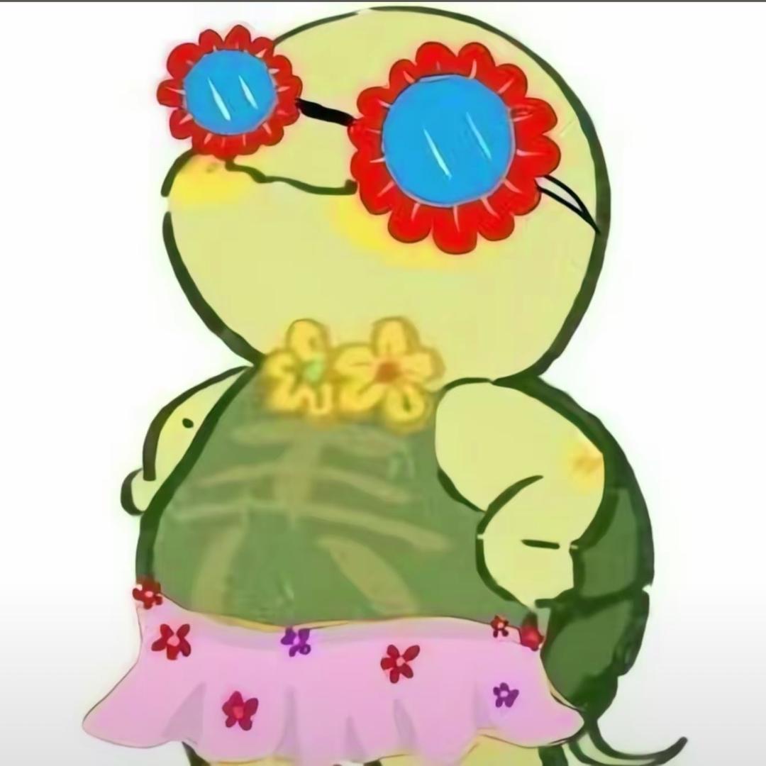 红警乌龟壳（不服版）