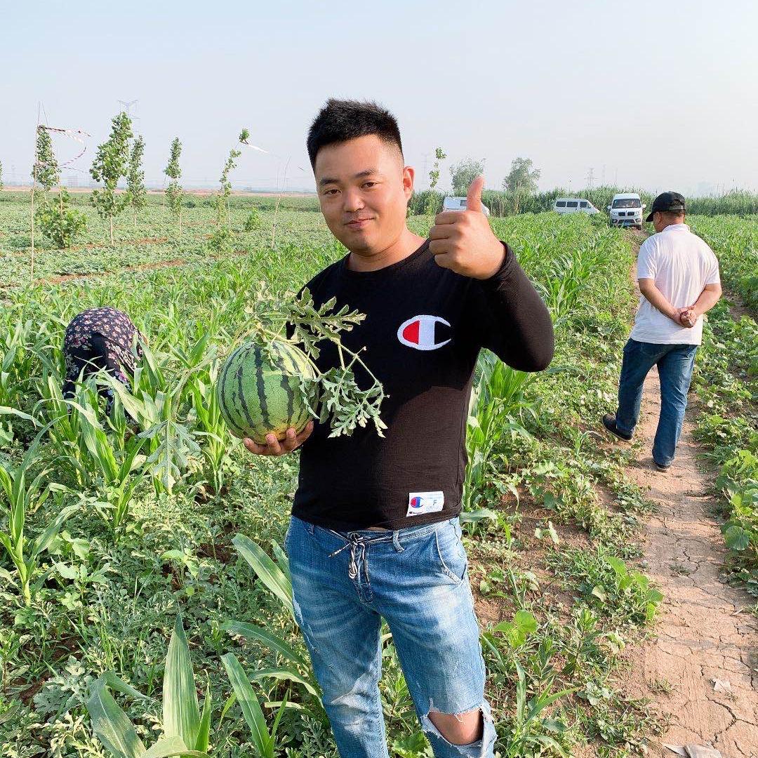 台头小郝不锈钢柴火灶