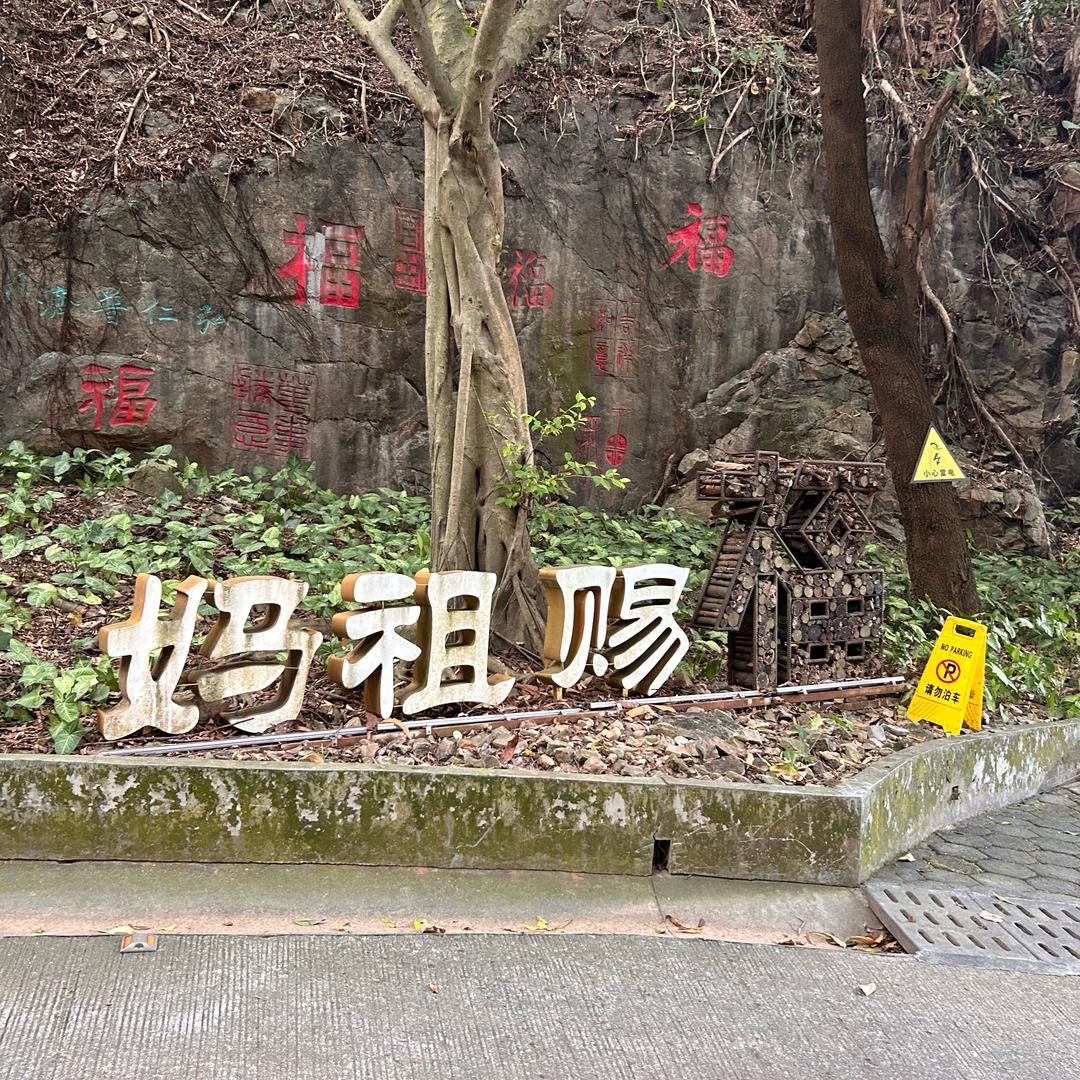 我只想在梦里🌈🐯