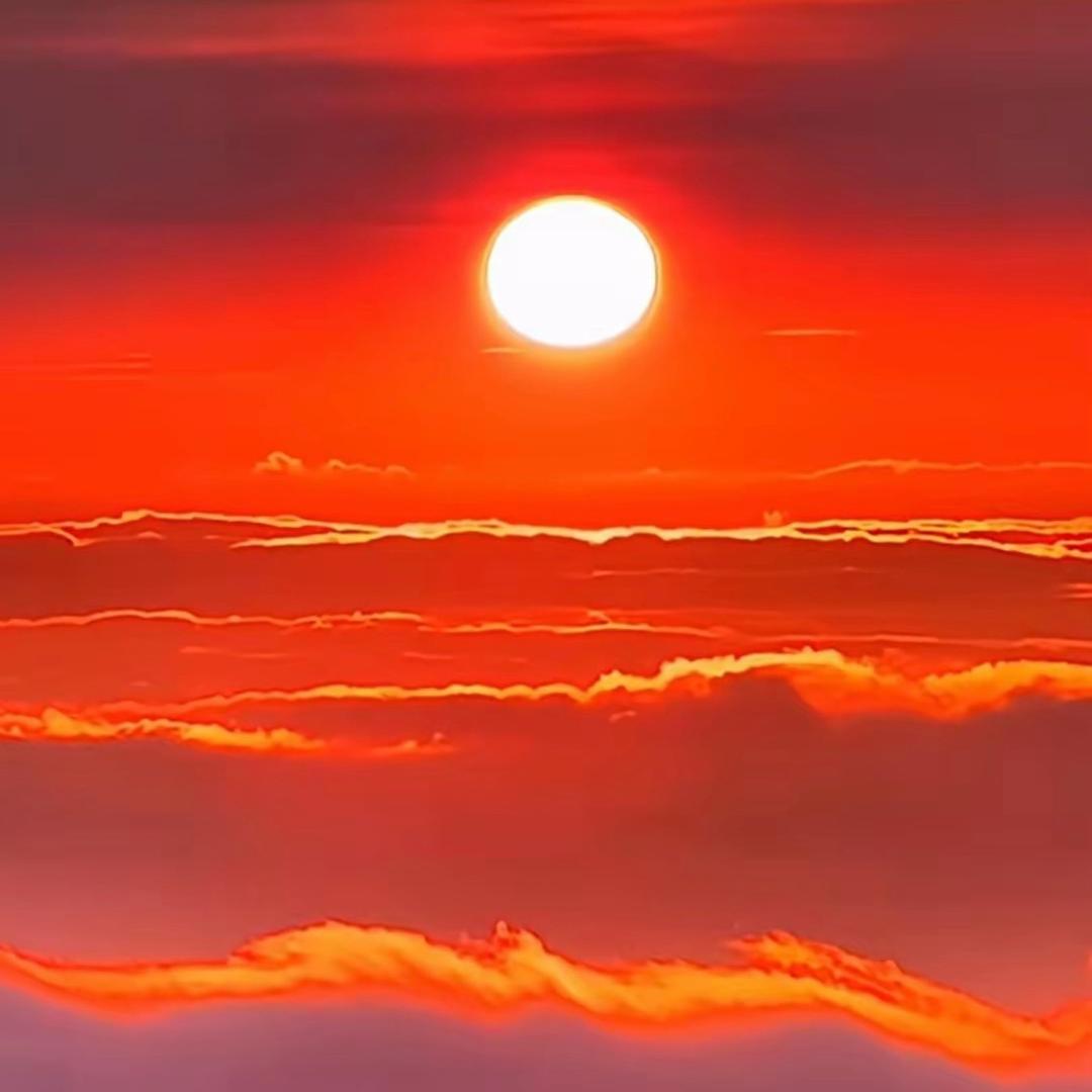 朝阳🌅