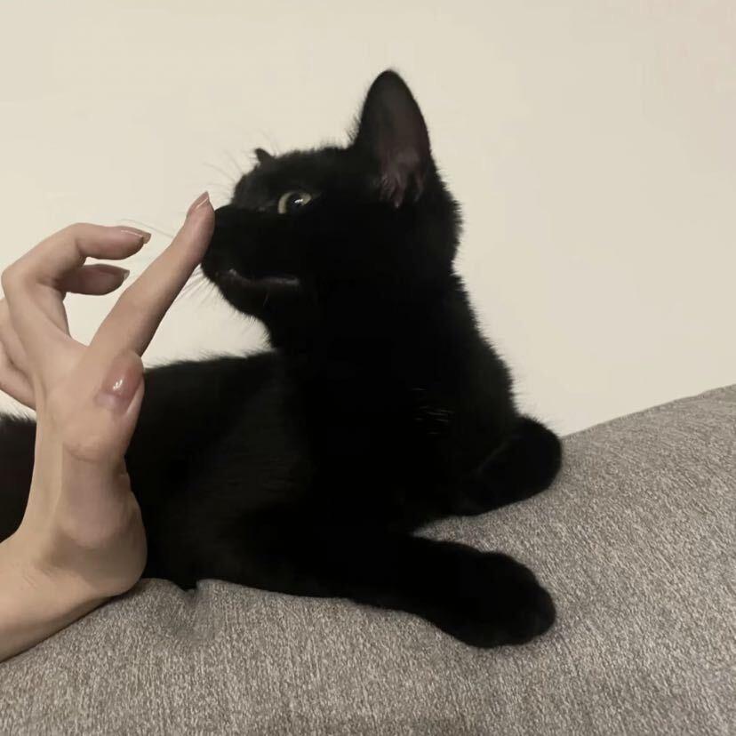 Xin-