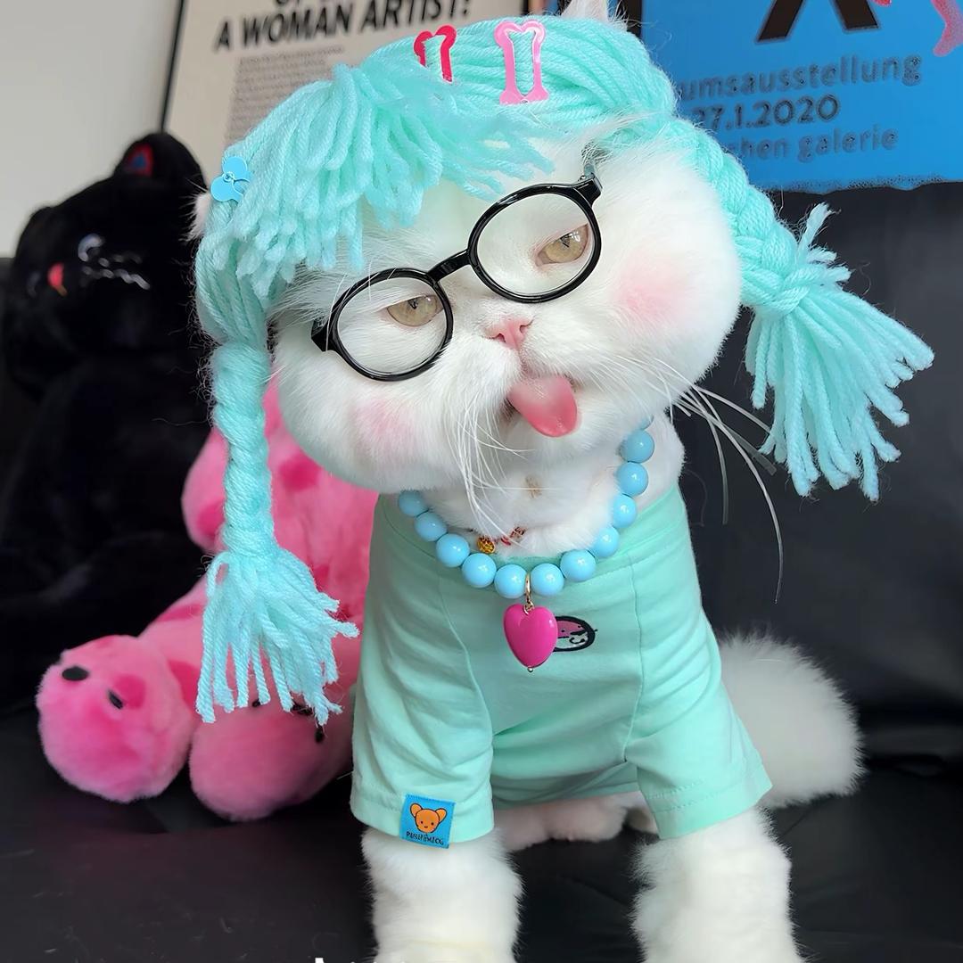 十一叭