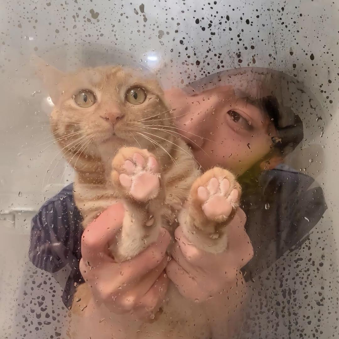 憂鬱的烏龜盪鞦韆