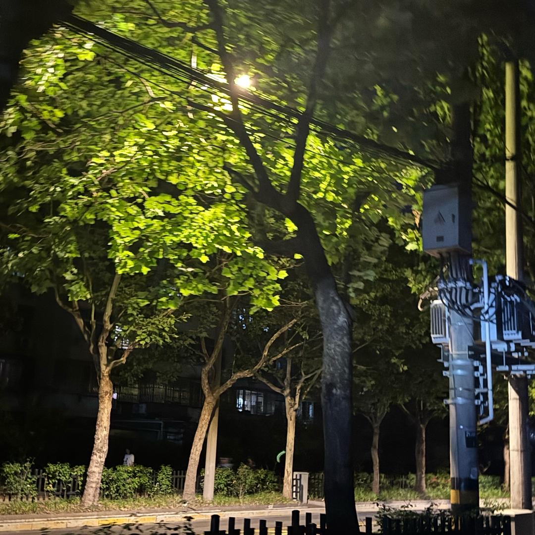 一人一车一世界