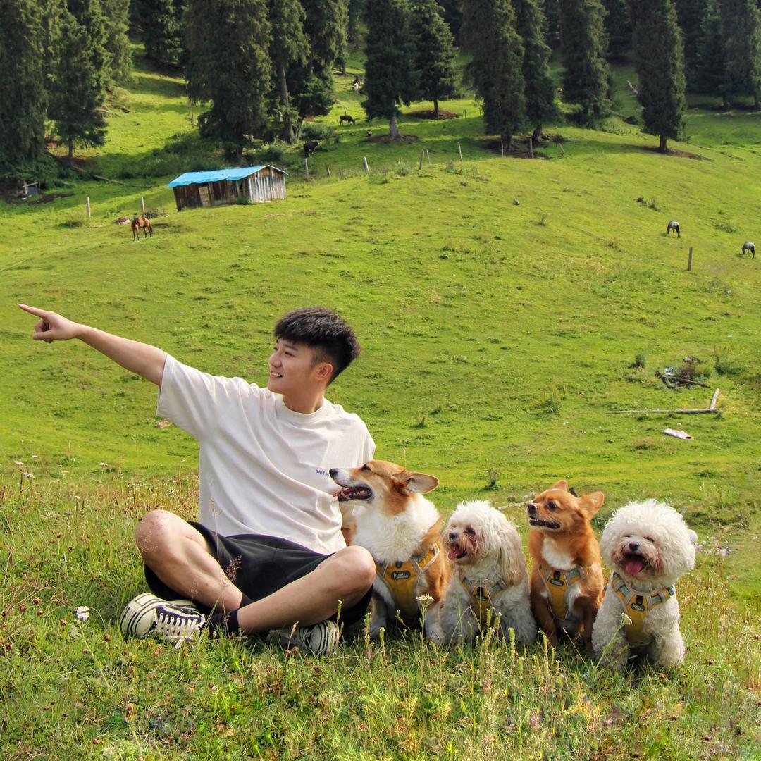 柯铭的沙雕艺术生活@抖音