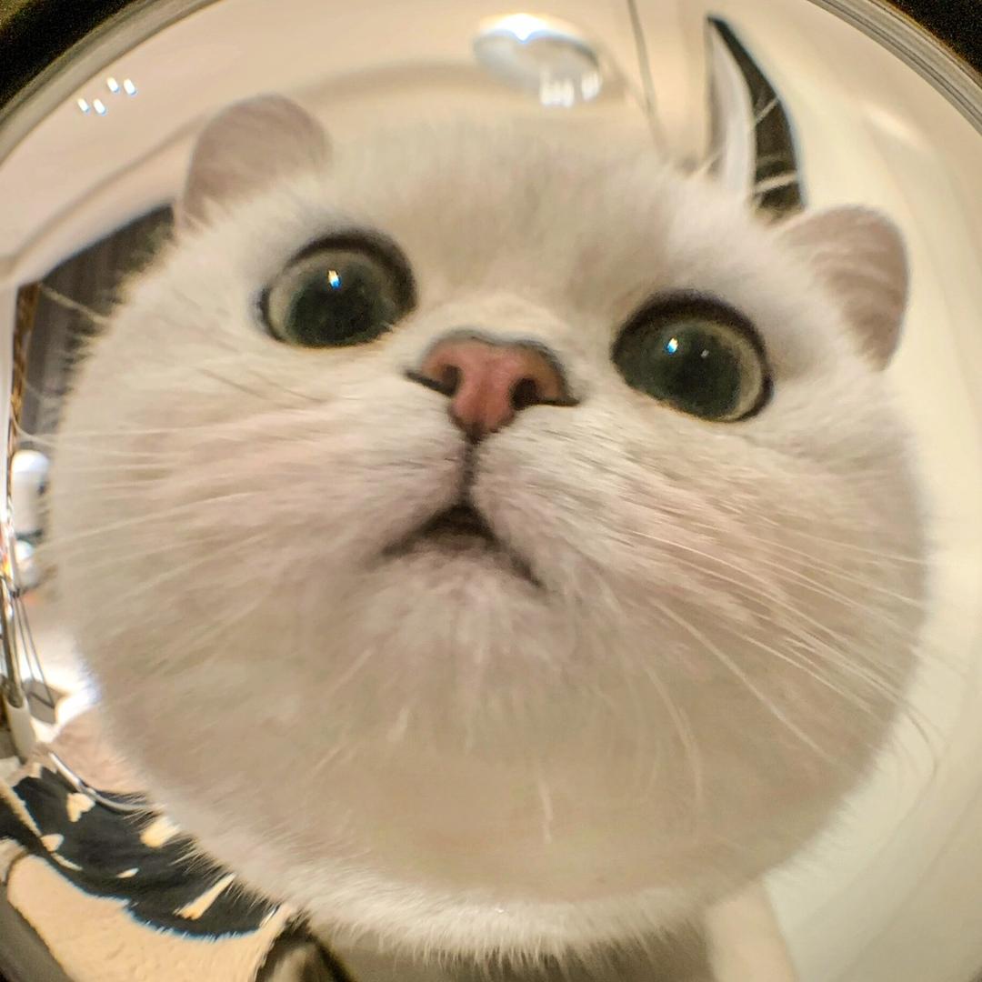 嘟嘟呀