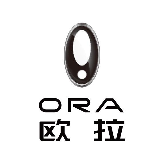 广西长瑞桂林欧拉专营店