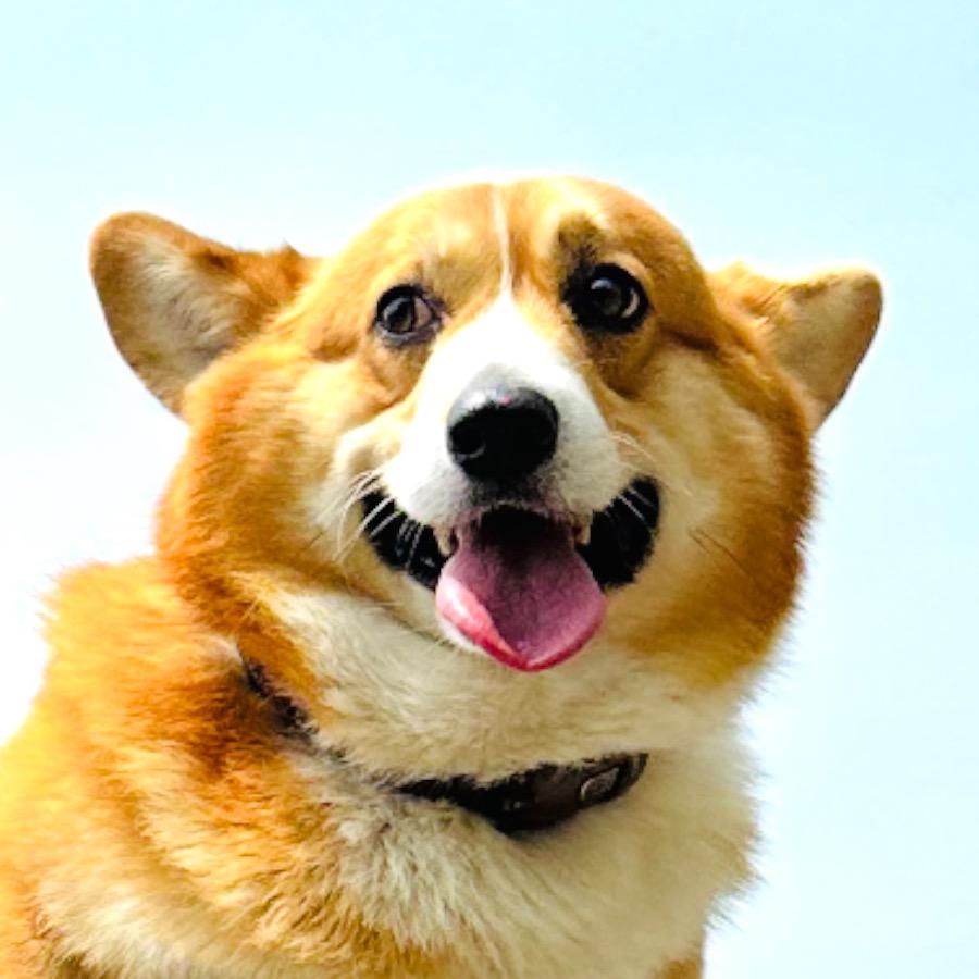 干饭王吴憨憨