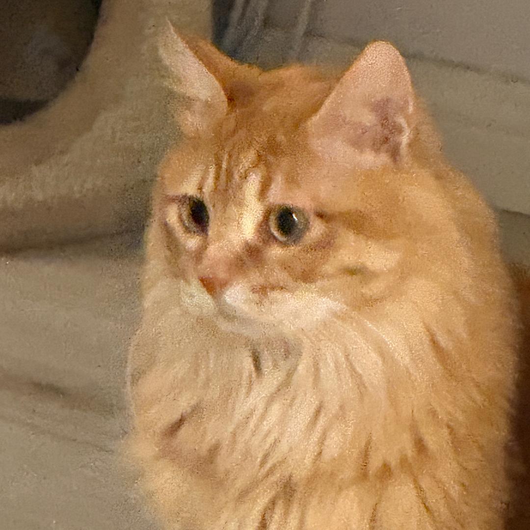 mumu