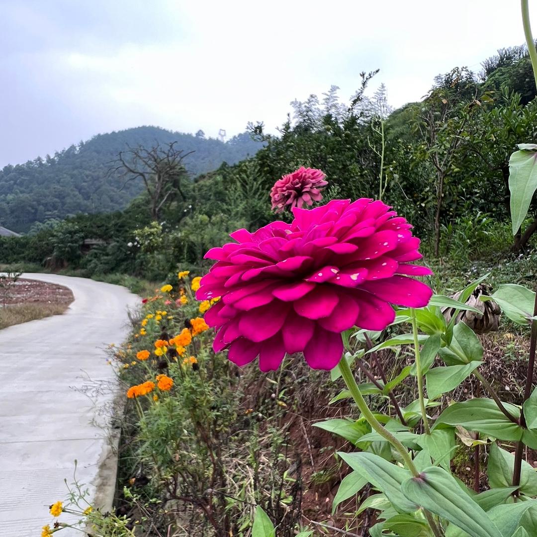 王老头