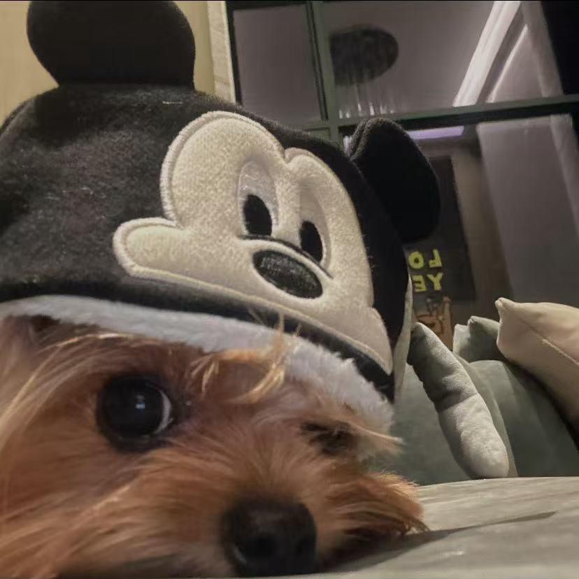 DI