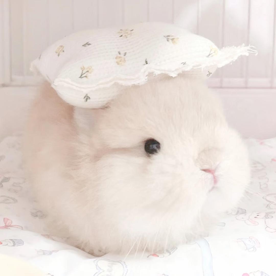 小笼包
