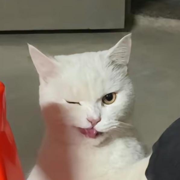 遥依🪐