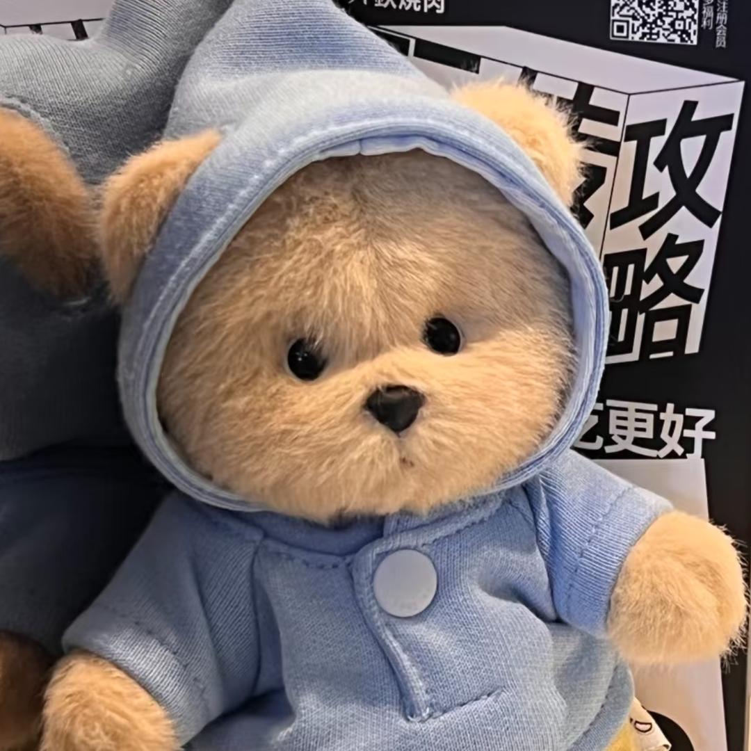 小熊🐻‍❄️（三角洲行动）