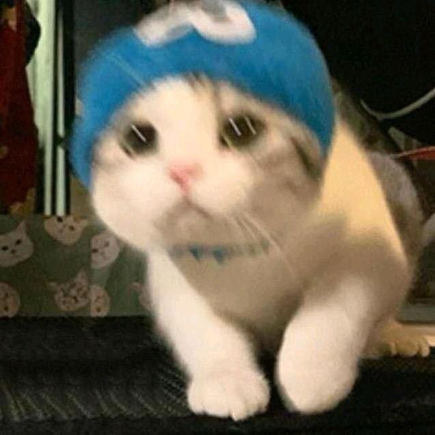 懿昕