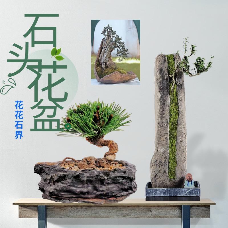 花花石界