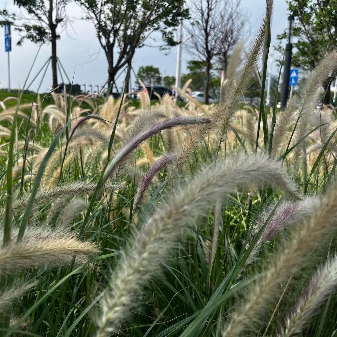 AD&本地推投流（知了）